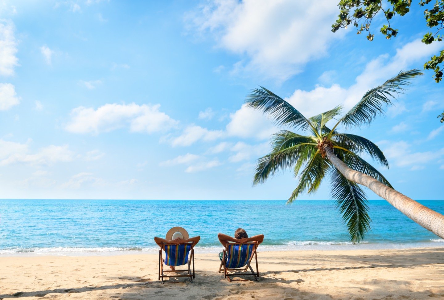Two guests sitting in striped beach chairs at the water's edge, looking out to sea under a palm tree.