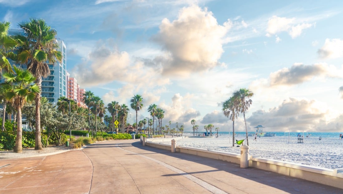A palm-lined beachfront walkway on the Clearwater, Florida shore.